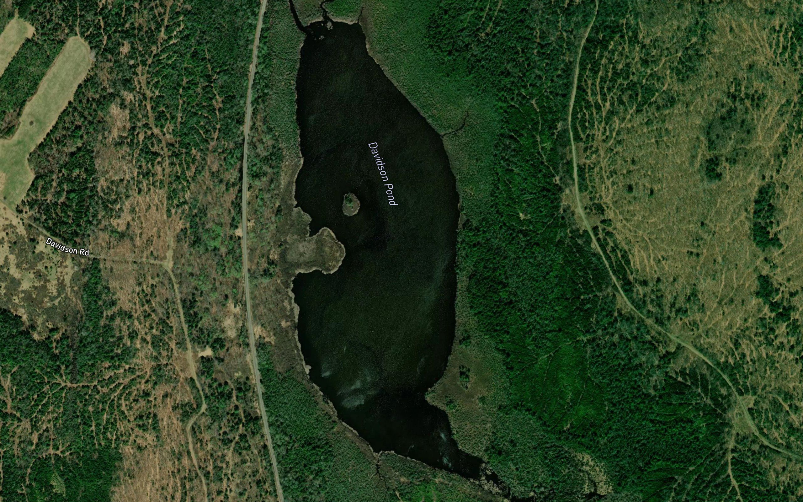 Davidson Pond
