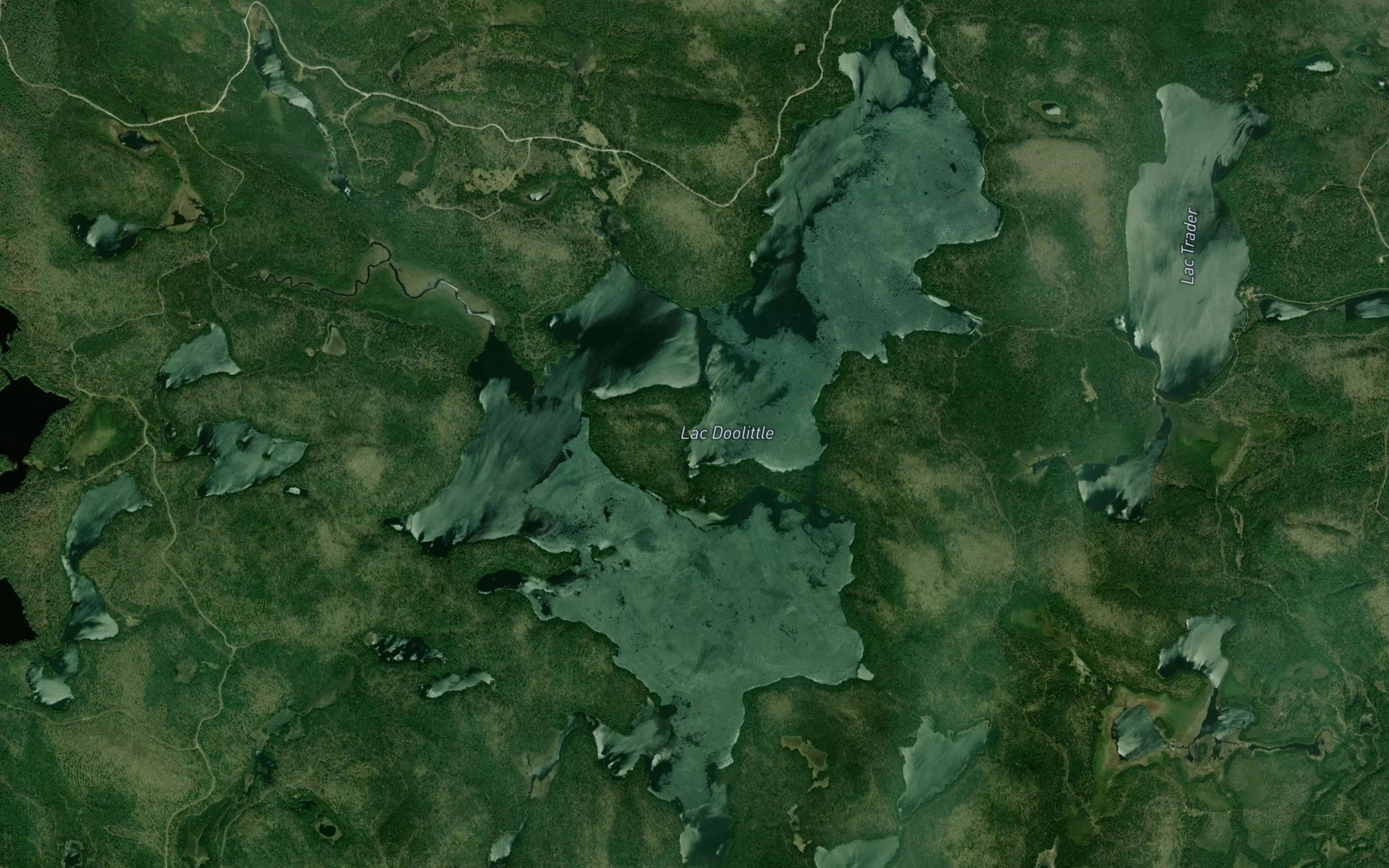 Lac Doolittle
