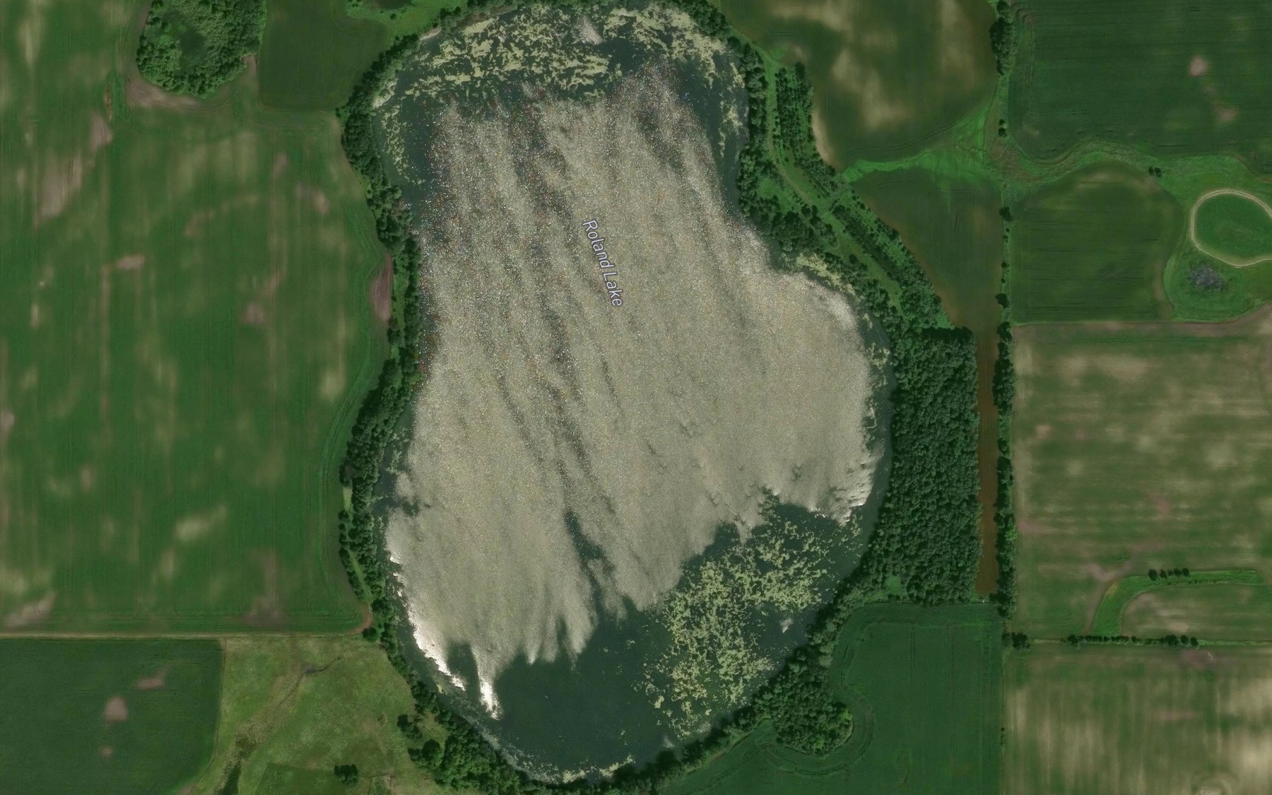 Satellite map of the Roland Lake