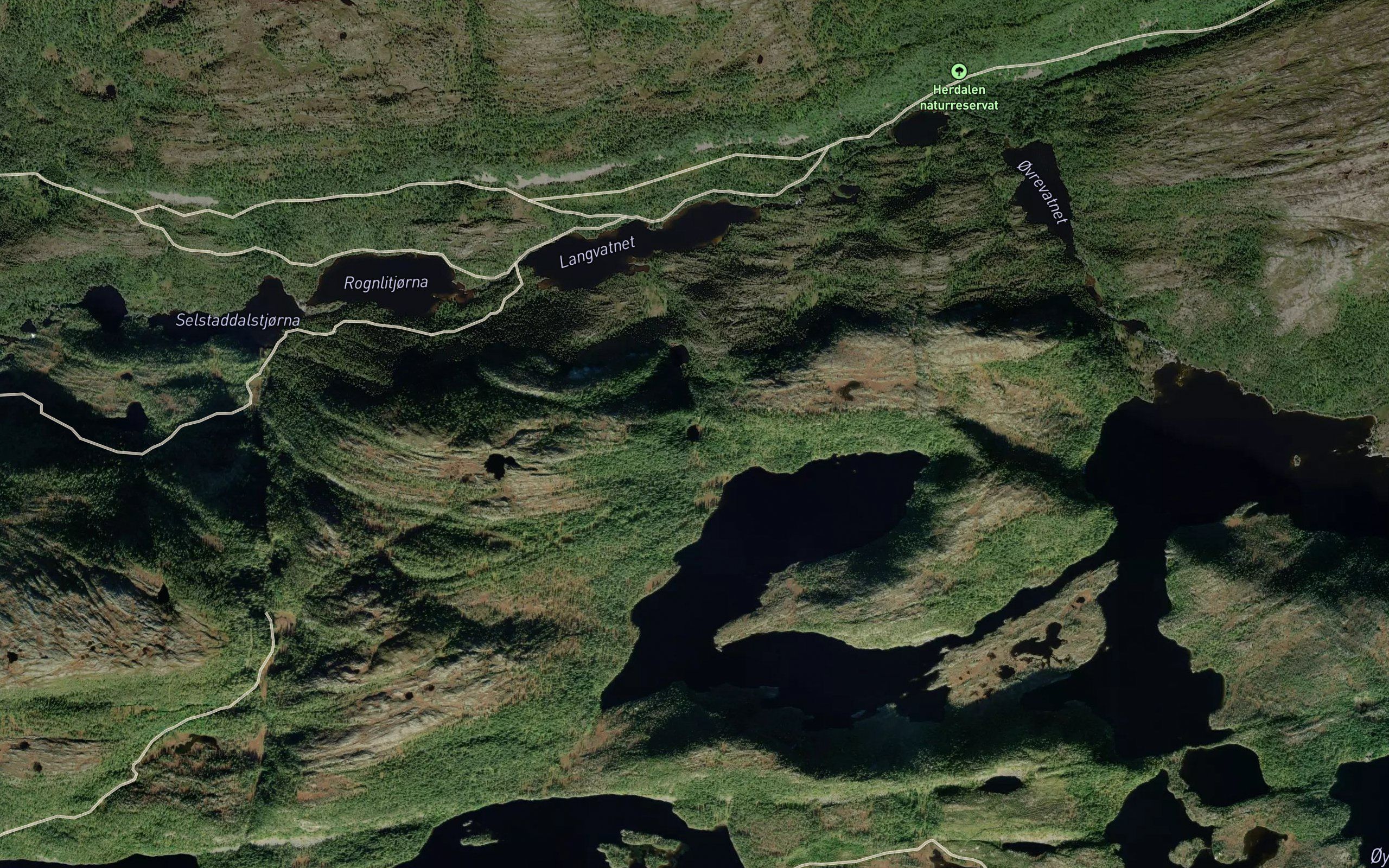 Bjugnskardtjorna