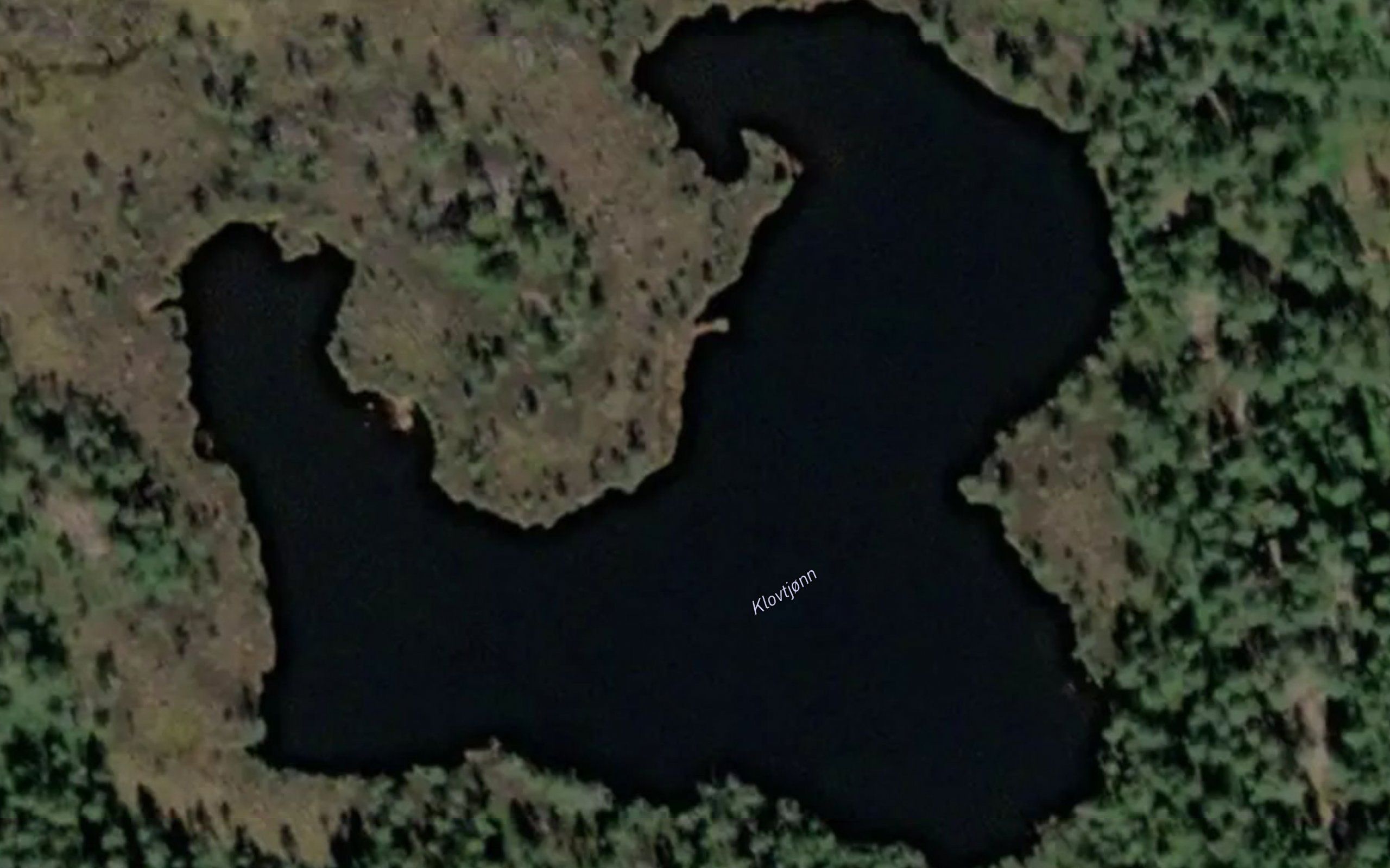 Klovtjorn
