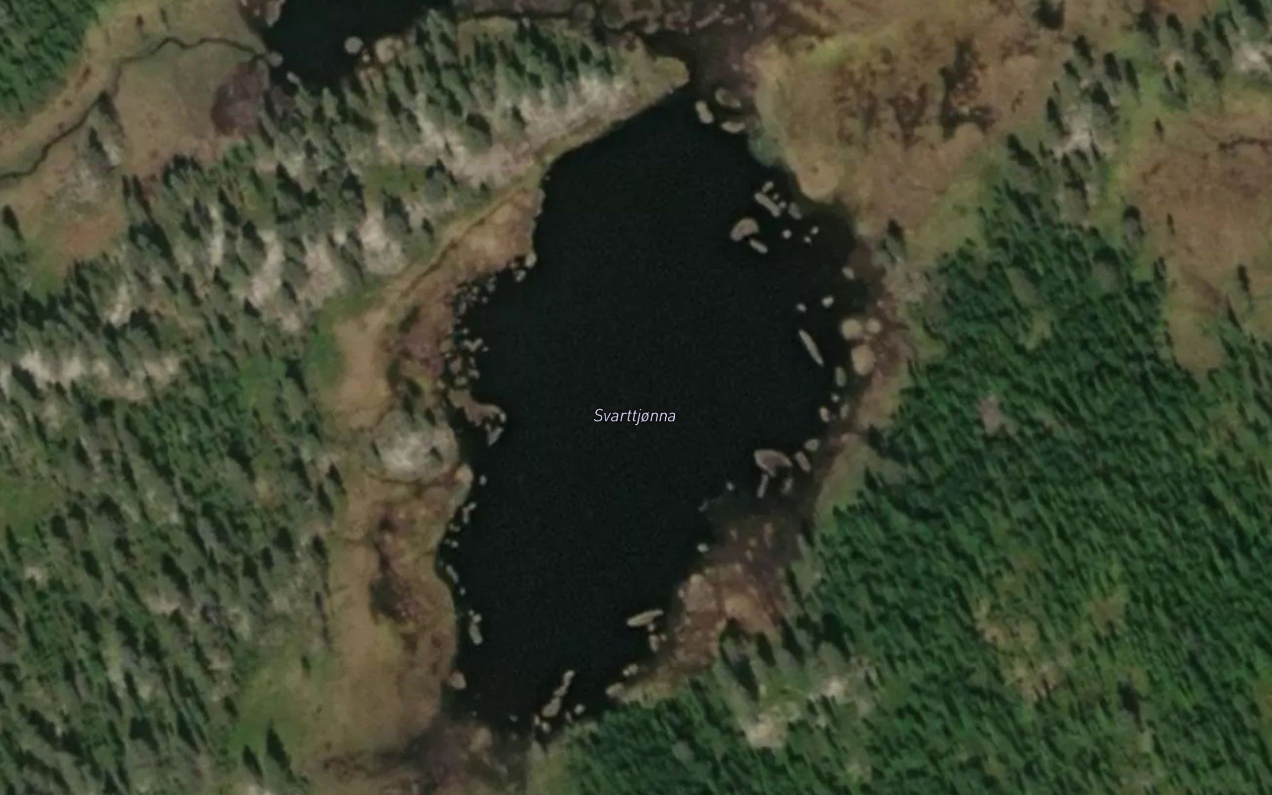 Svarttjorna