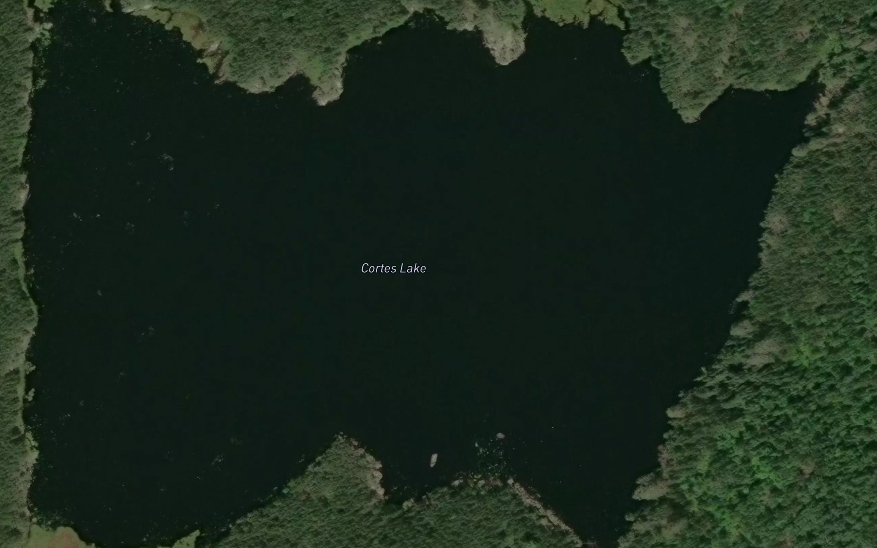 Satellite map of the Cortes Lake