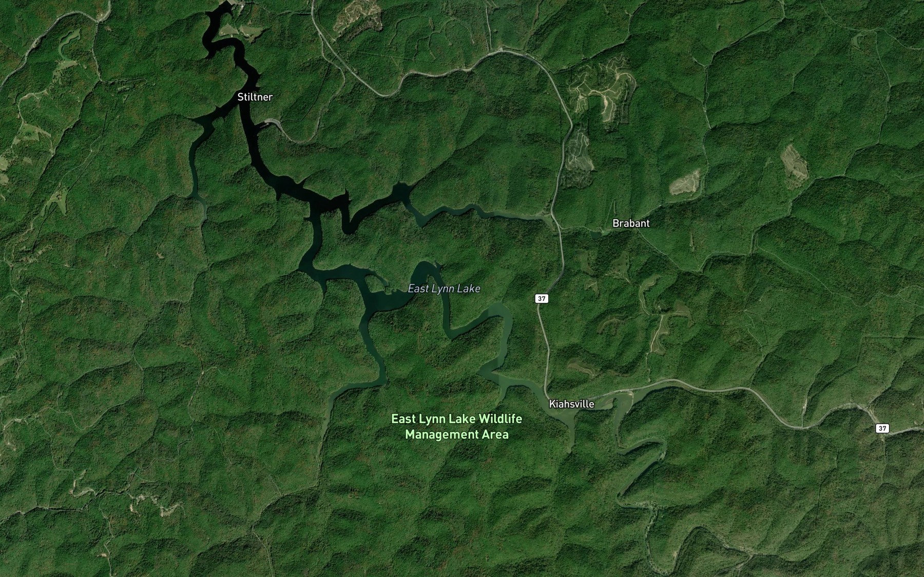 Satellite map of the East Lynn Lake