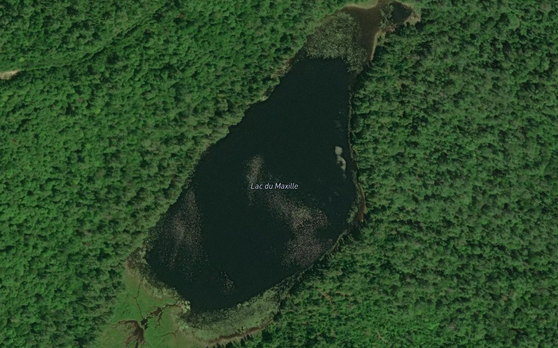 Satellite map of the Lac du Maxille
