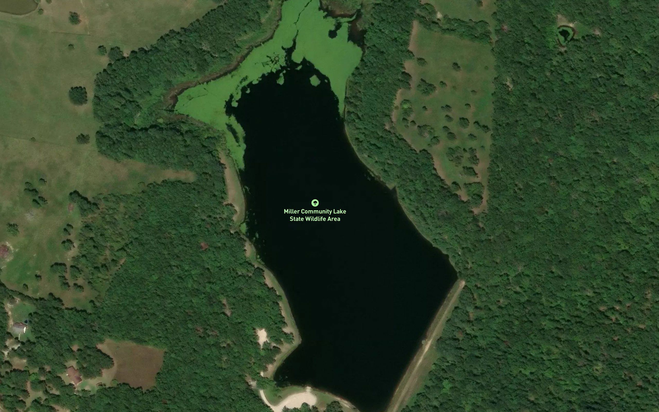 Miller Lake