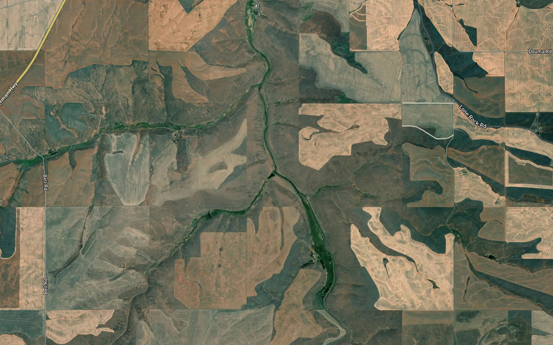Satellite map of the Rosebush Creek