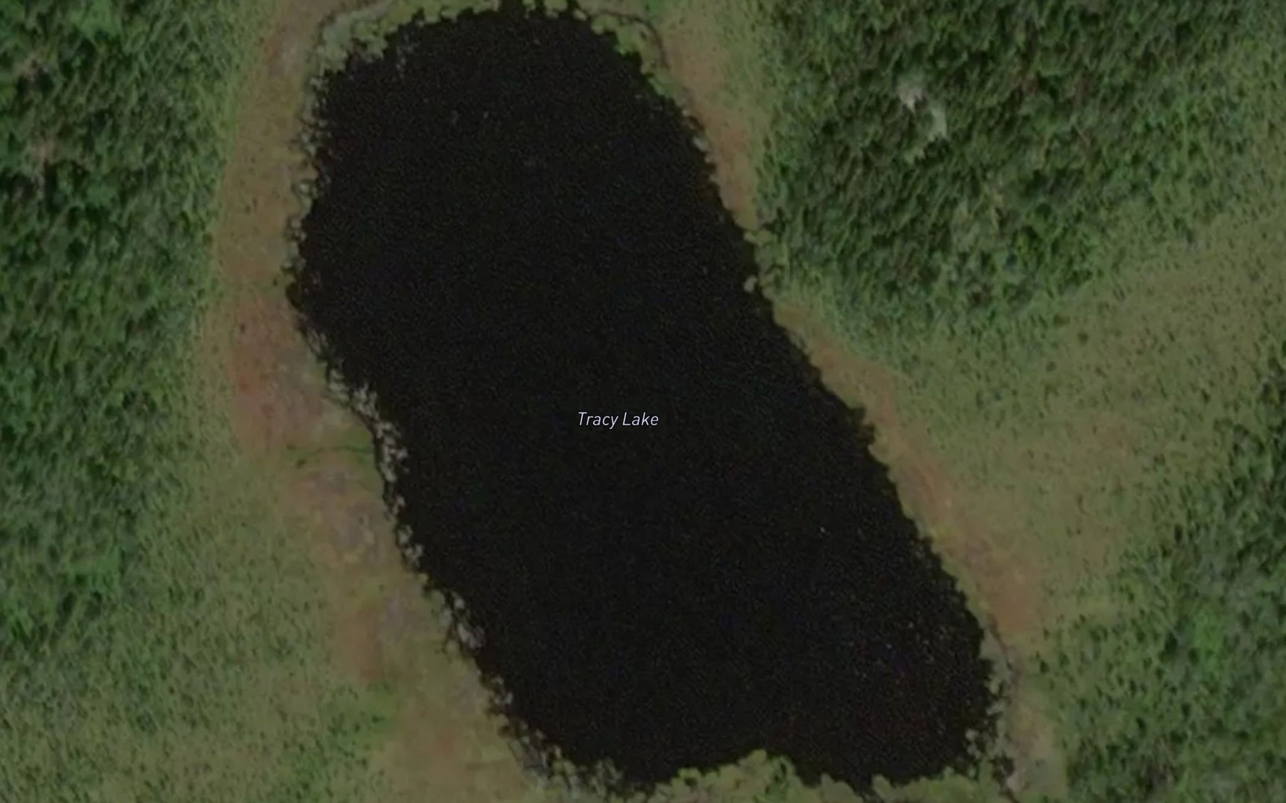 Satellite map of the Tracy Lake