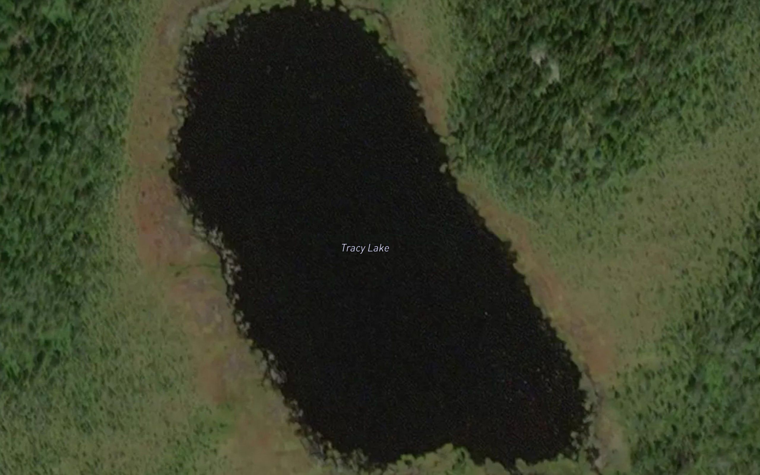 Tracy Lake