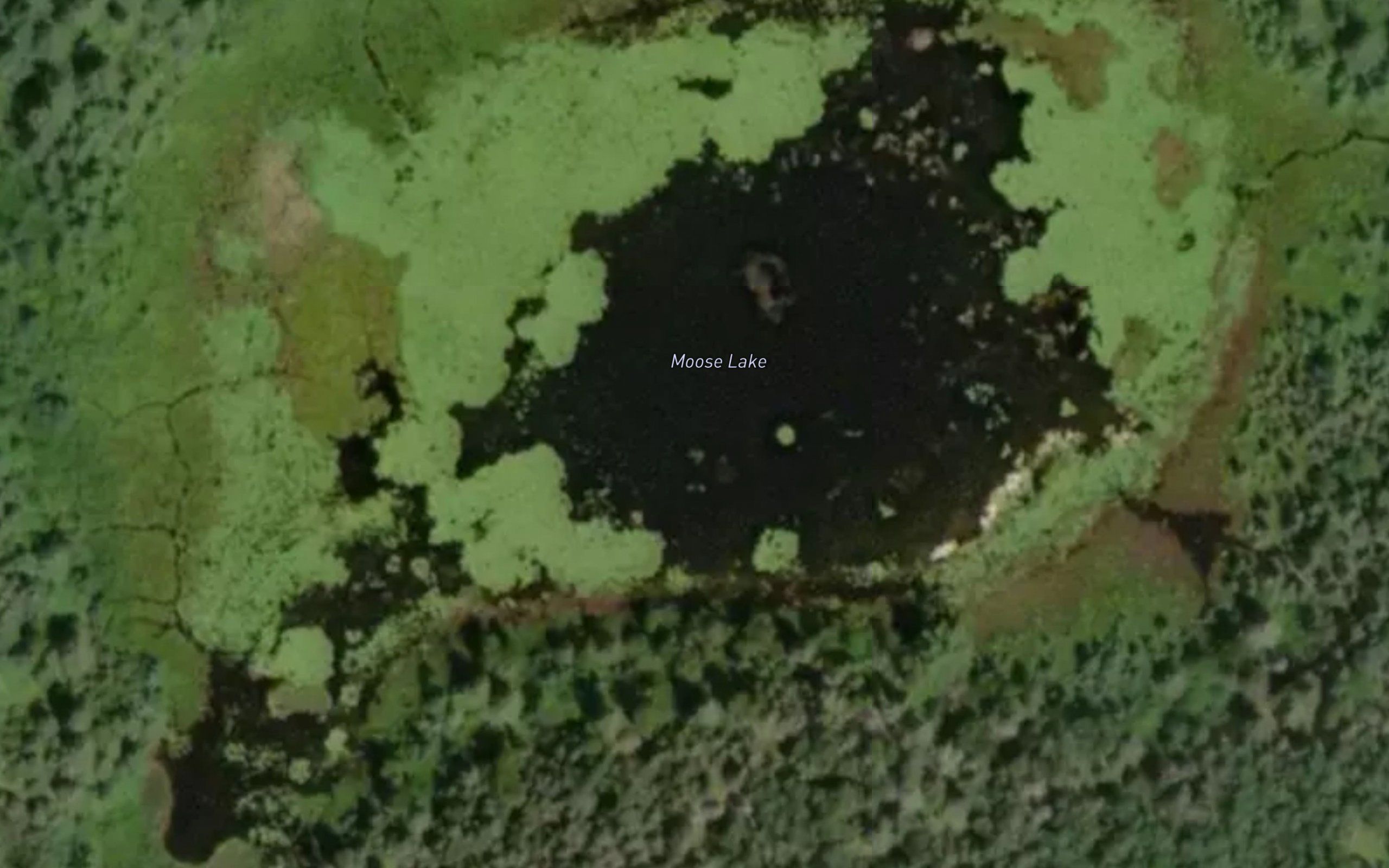 Moose Lake