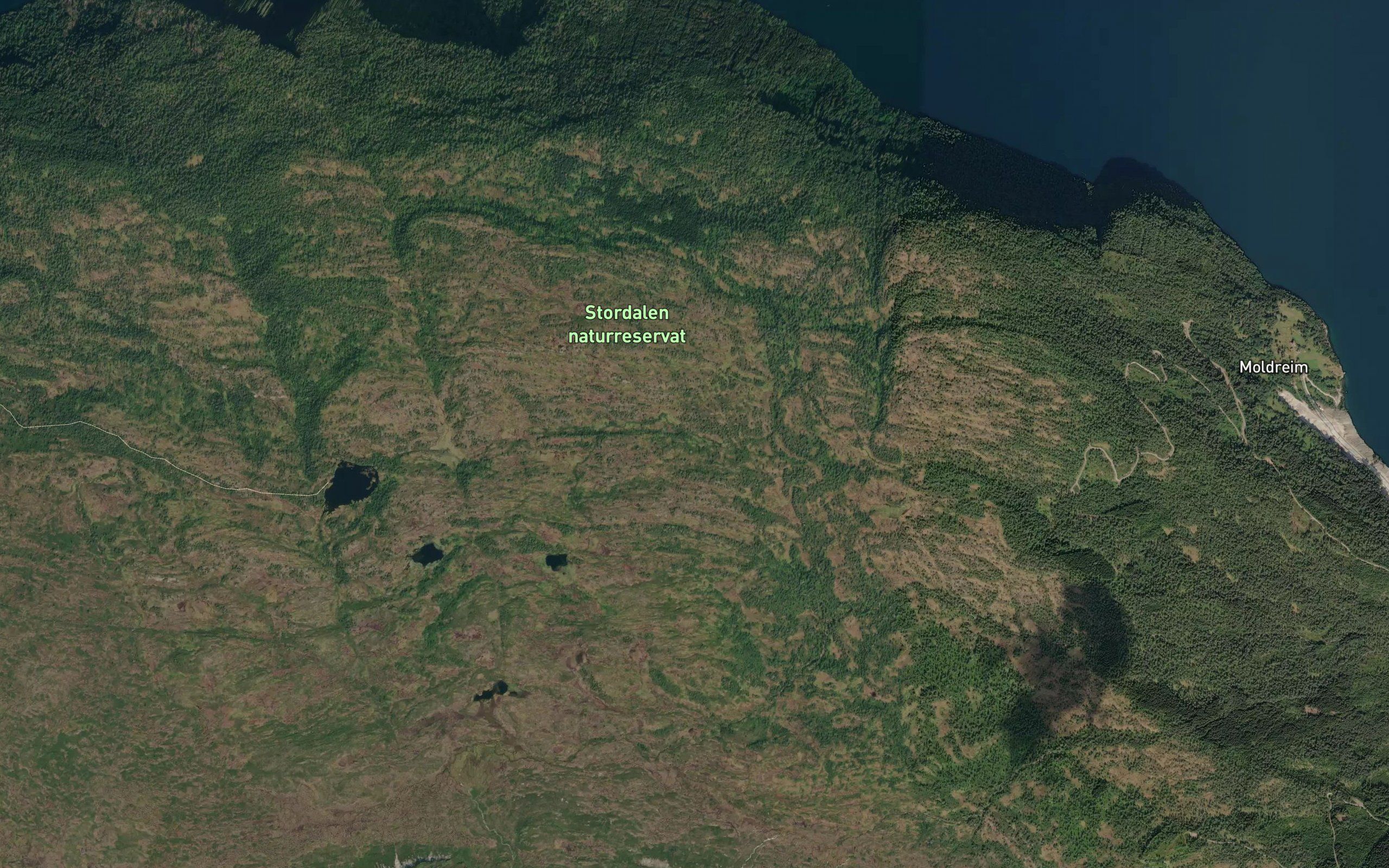 Moldrheimselva