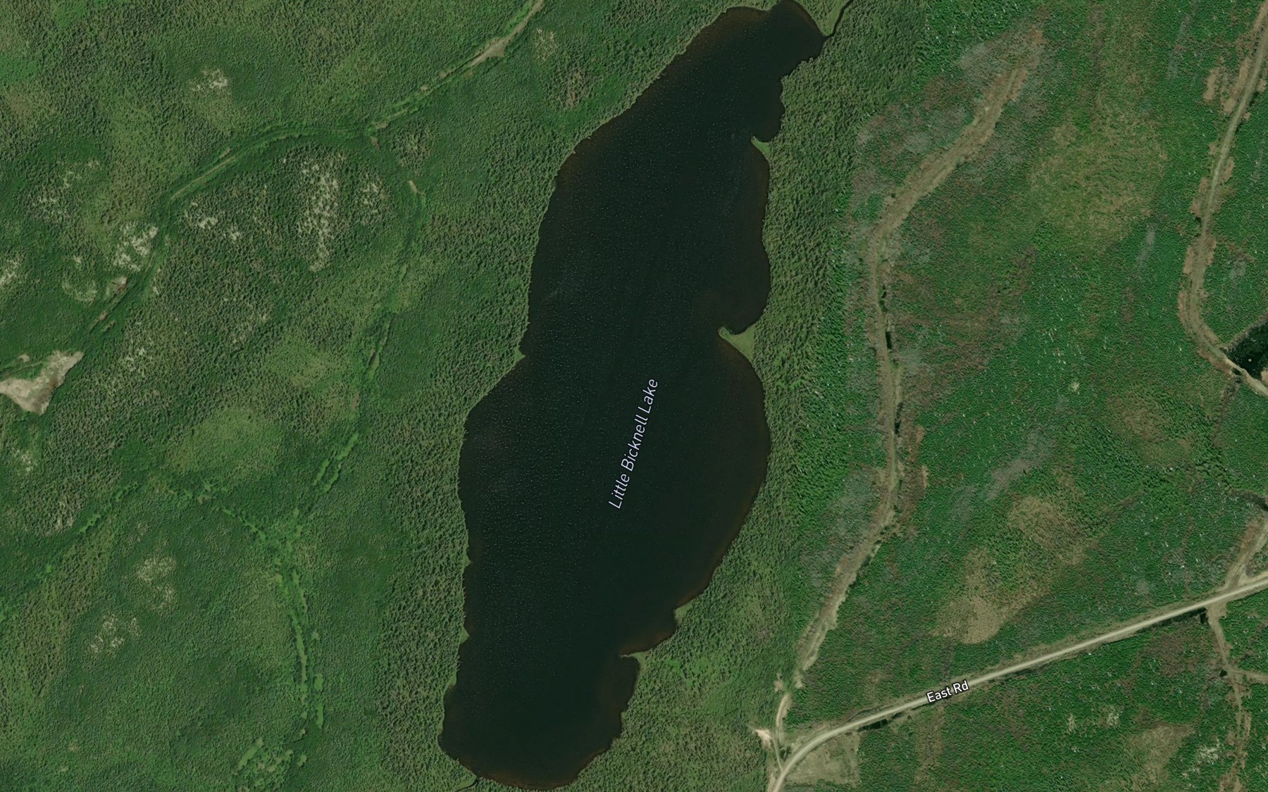 Satellite map of the Little Bicknell Lake