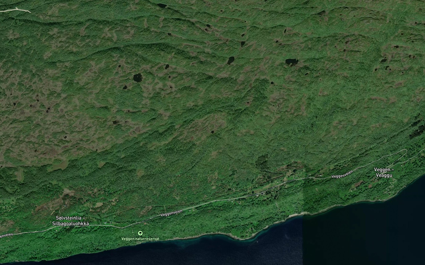 Satellite map of the Storlivatnet