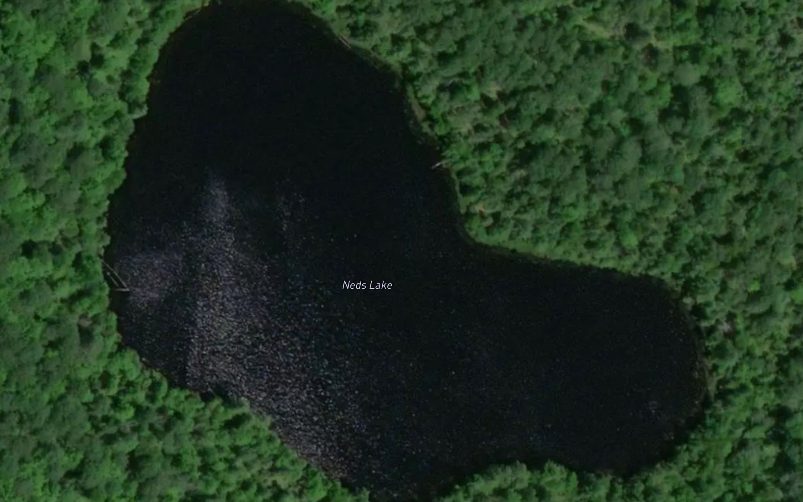Neds Lake