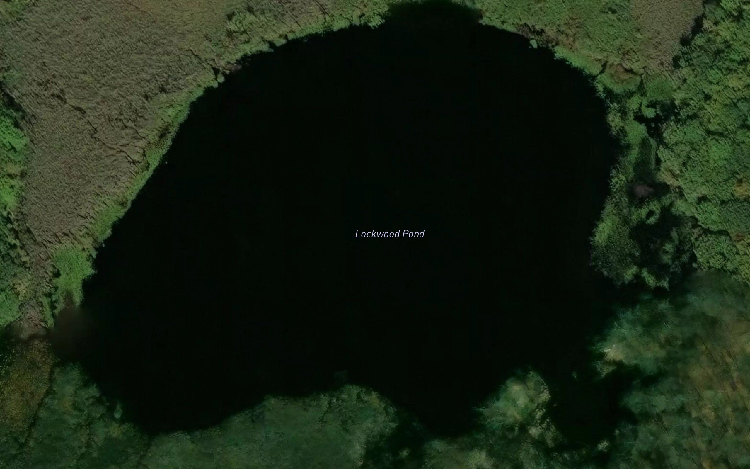 Lockwood Pond