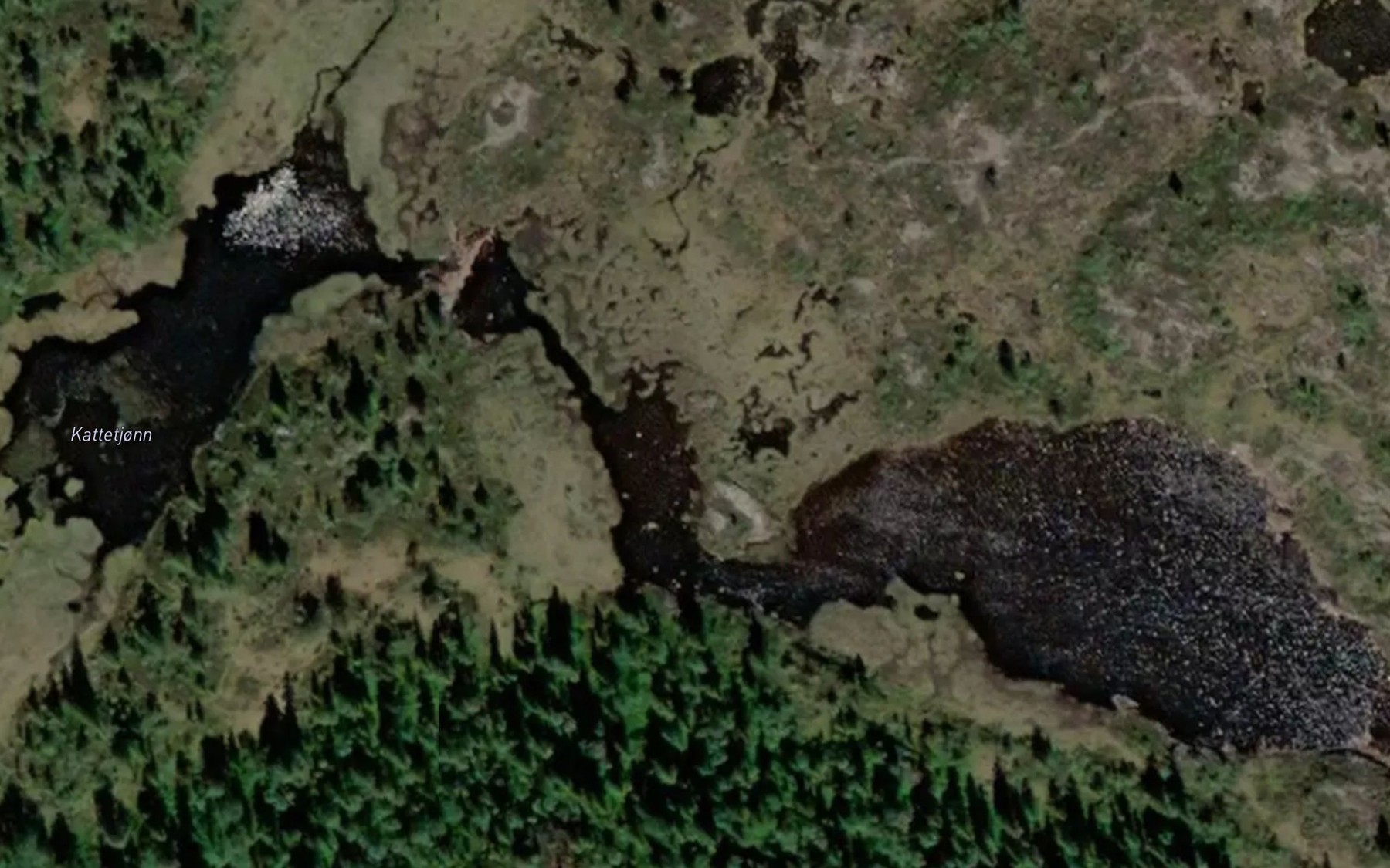 Satellite map of the Kattetjonn