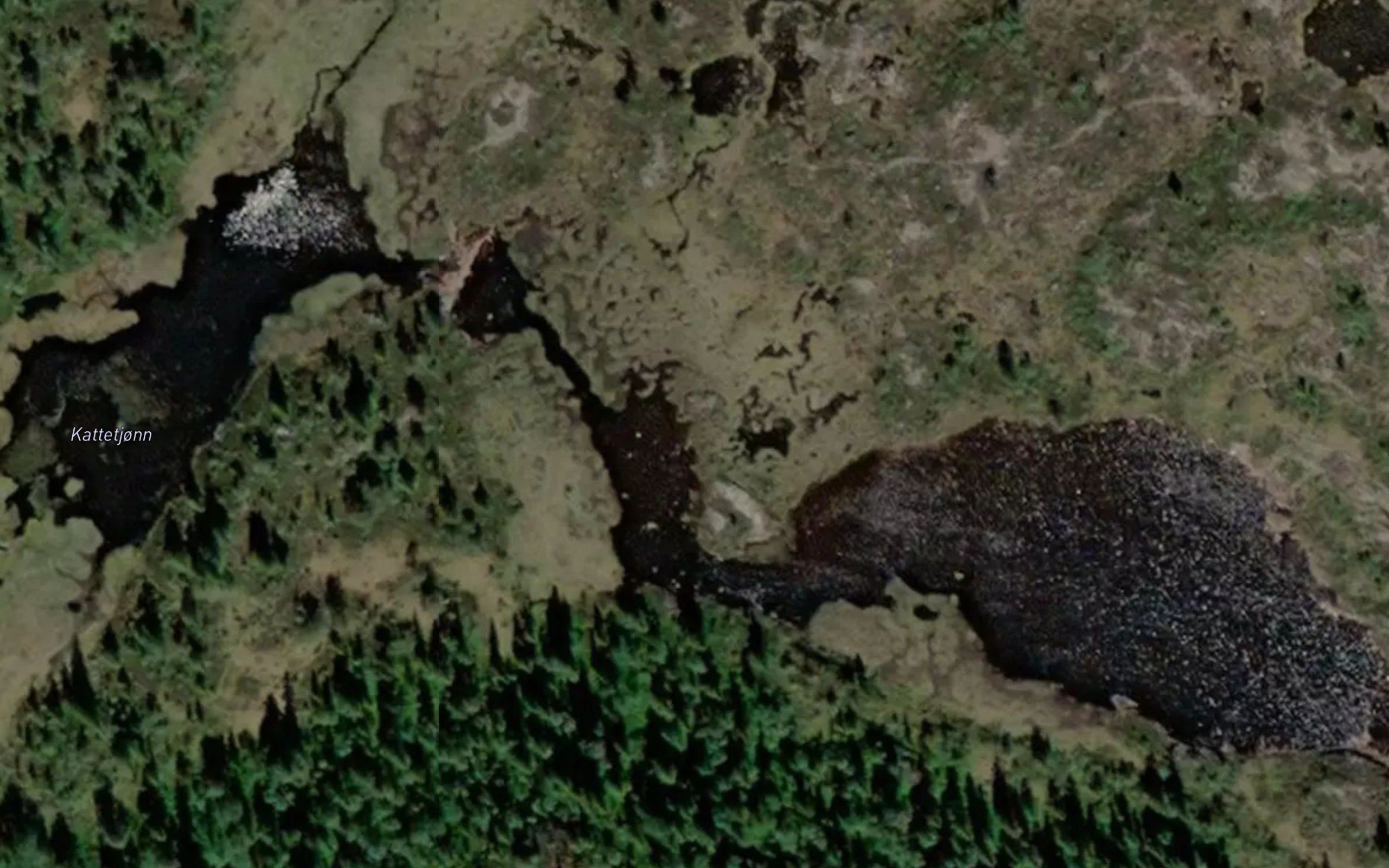 Kattetjonn