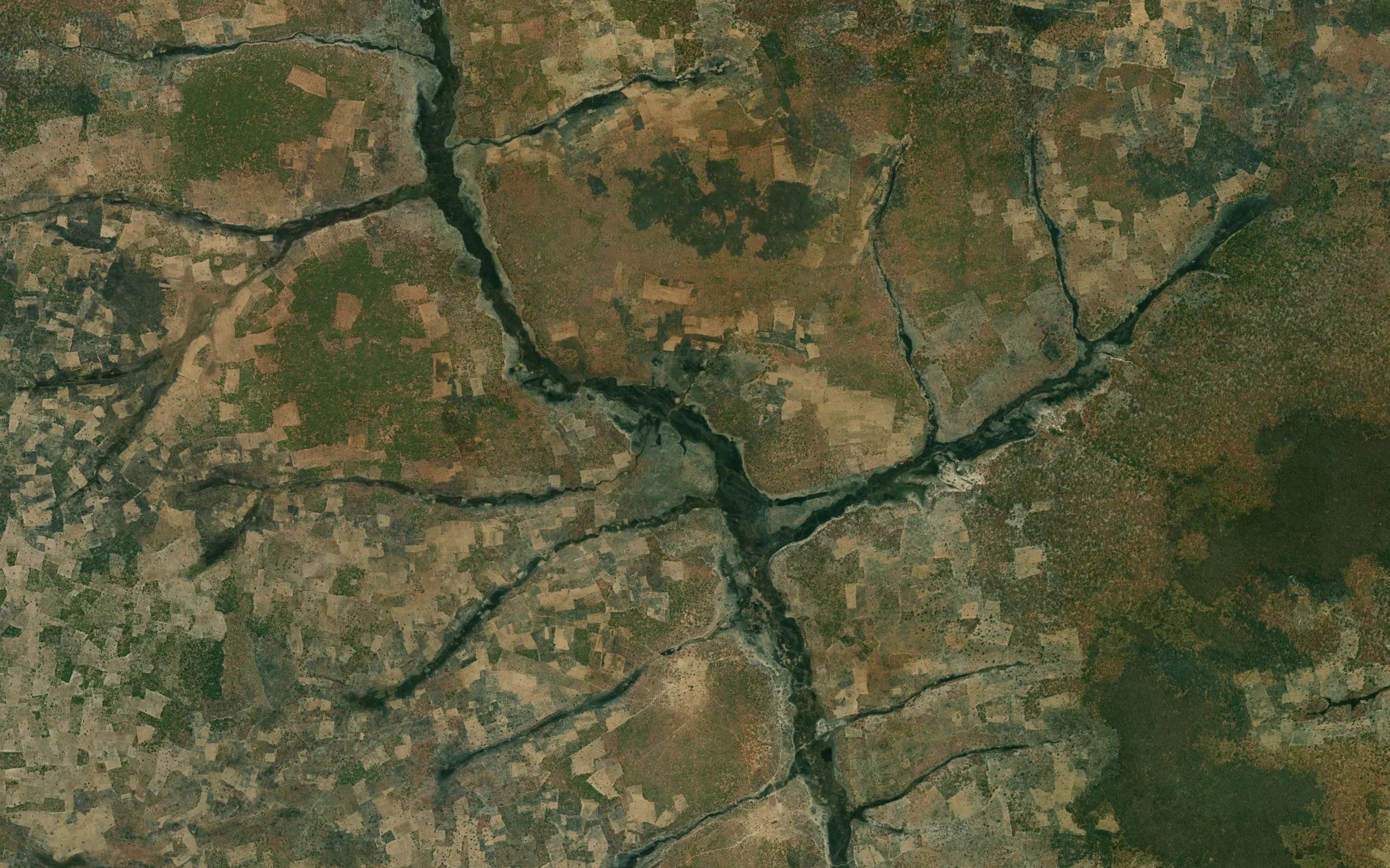 Camiungue