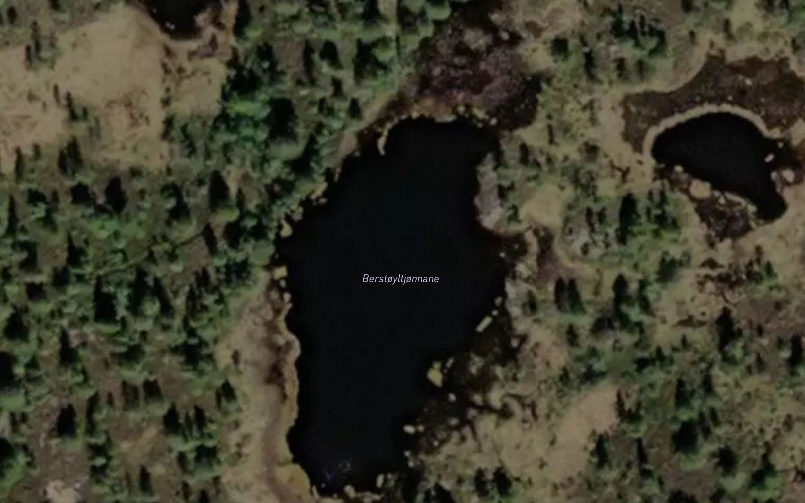 Bergestoyltjorni