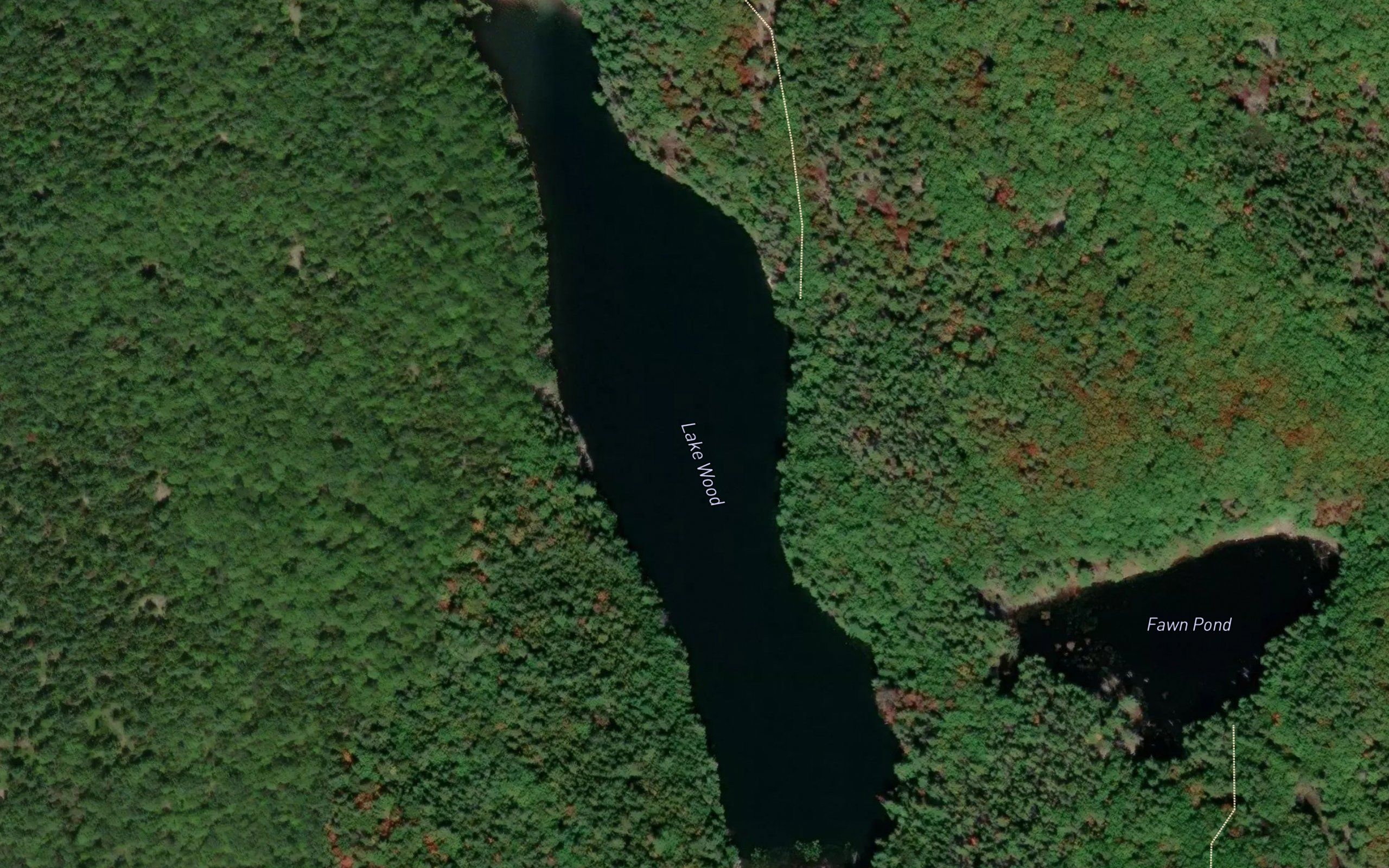 Lake Wood
