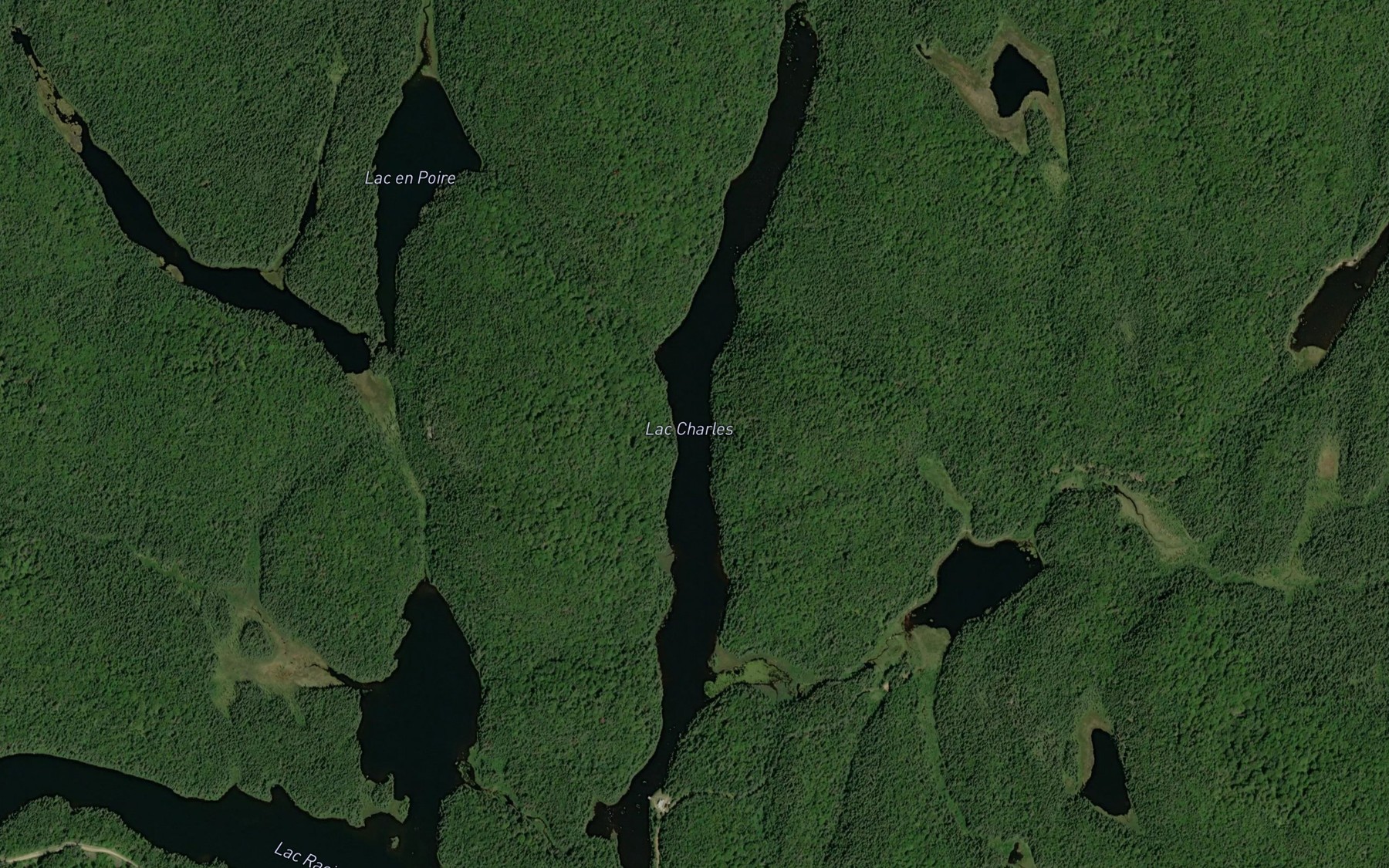 Satellite map of the Lac Charles