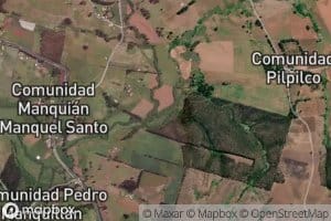 Estero Coilaco