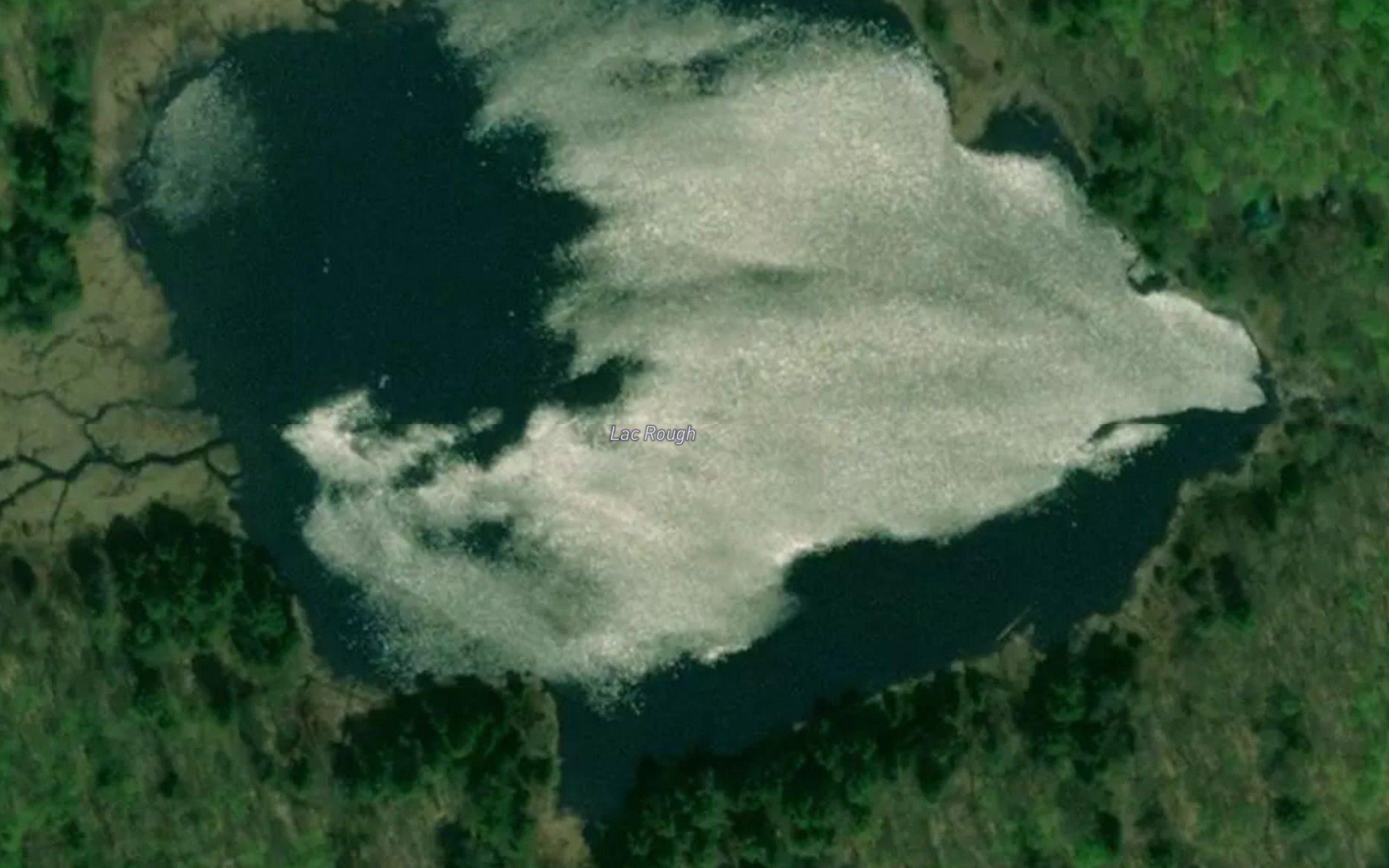 Lac Rough