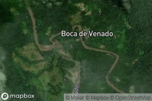 Rio Venado