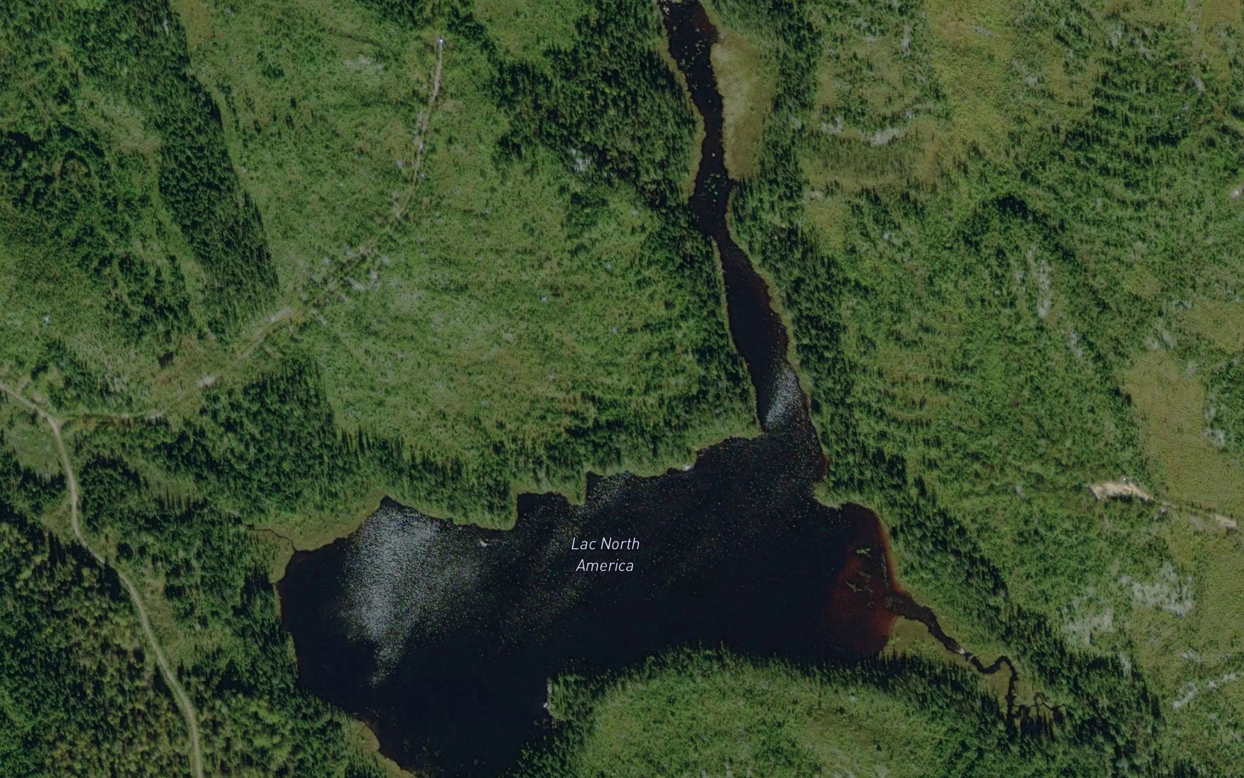 Lac North America