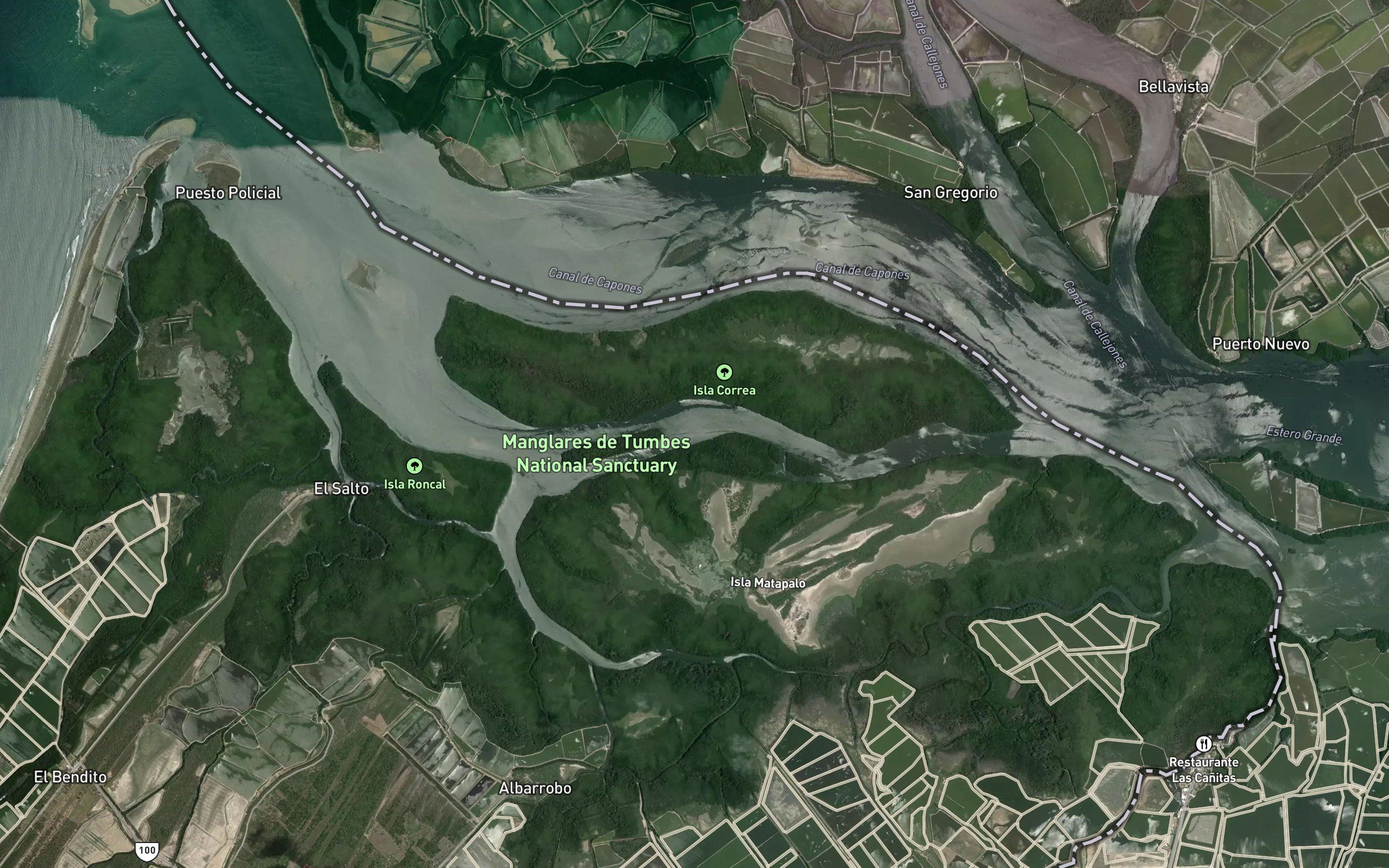 Estero Matapalo