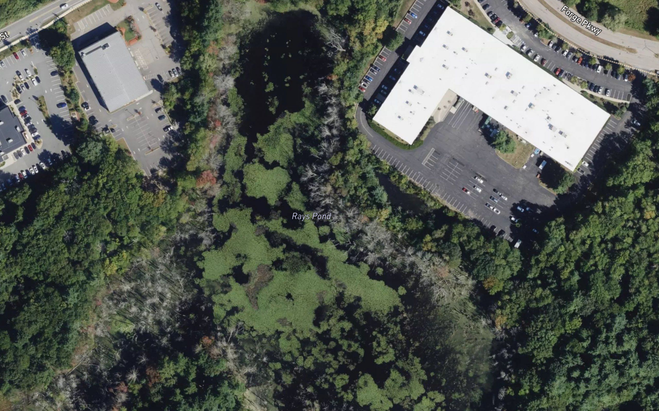 Rays Pond