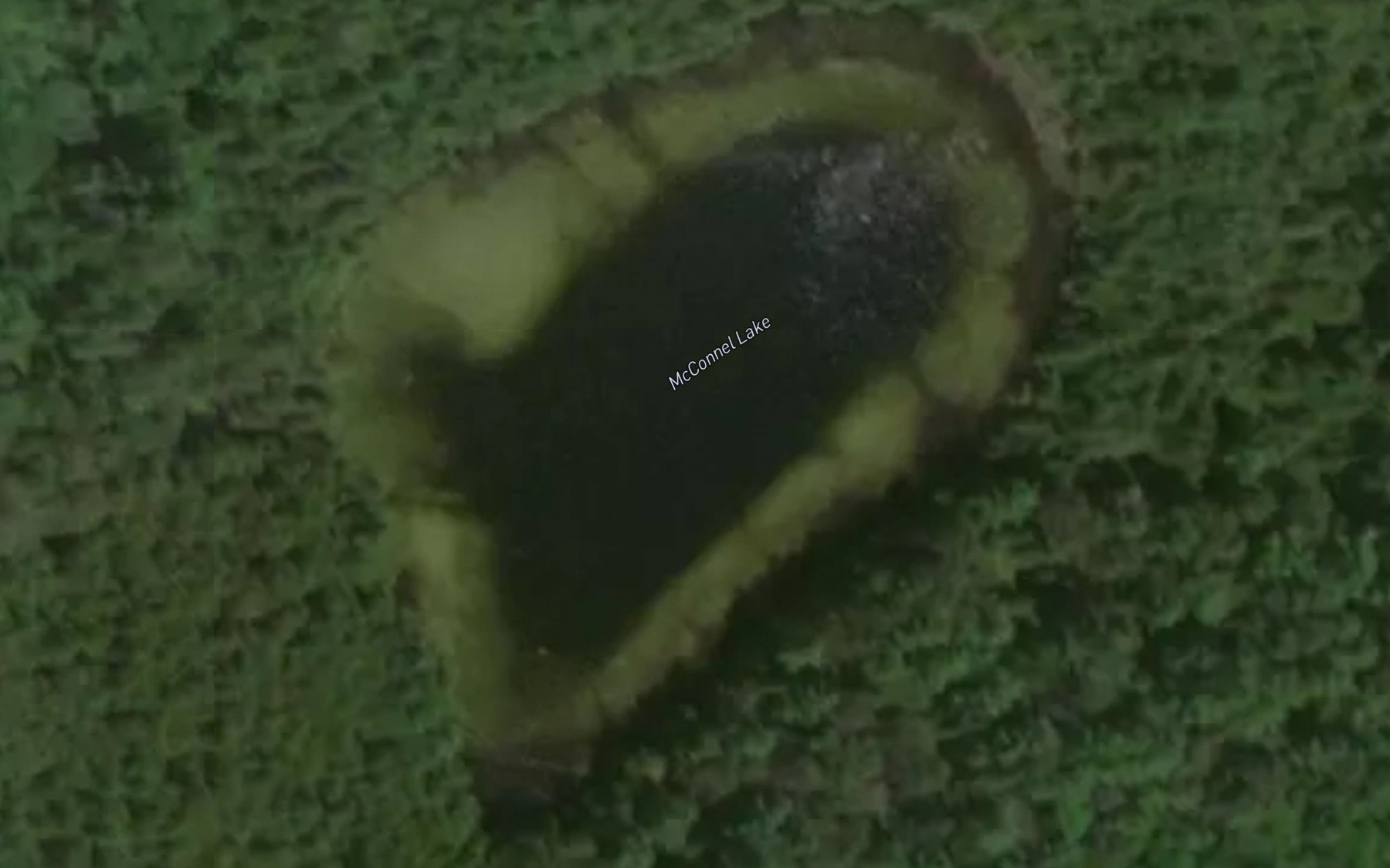 Satellite map of the McConnel Lake