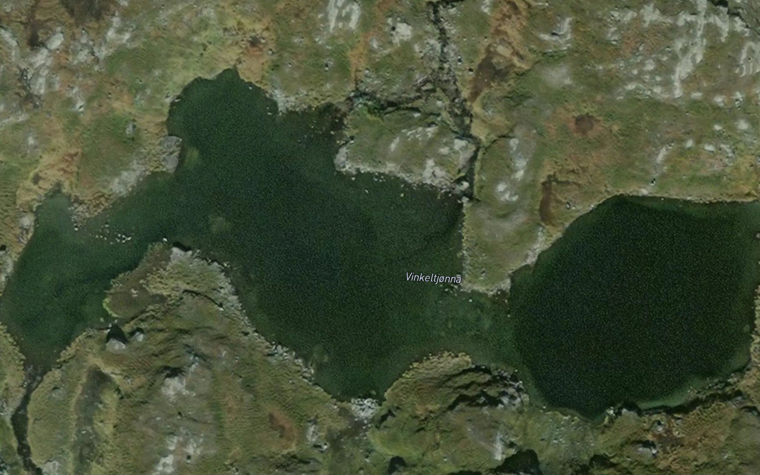 Vinkeltjorna