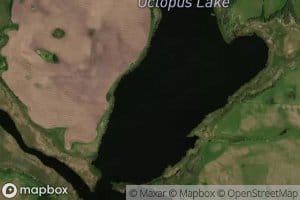 Octopus Lake