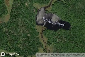 Meadow Brook