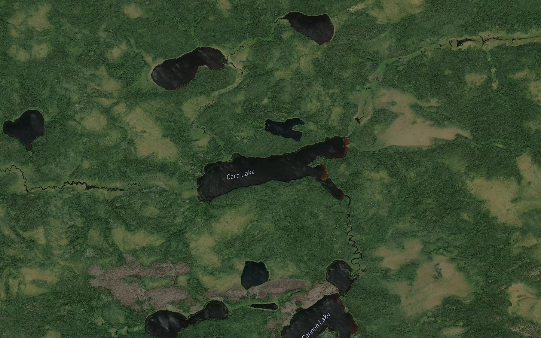 Satellite map of the Card Lake