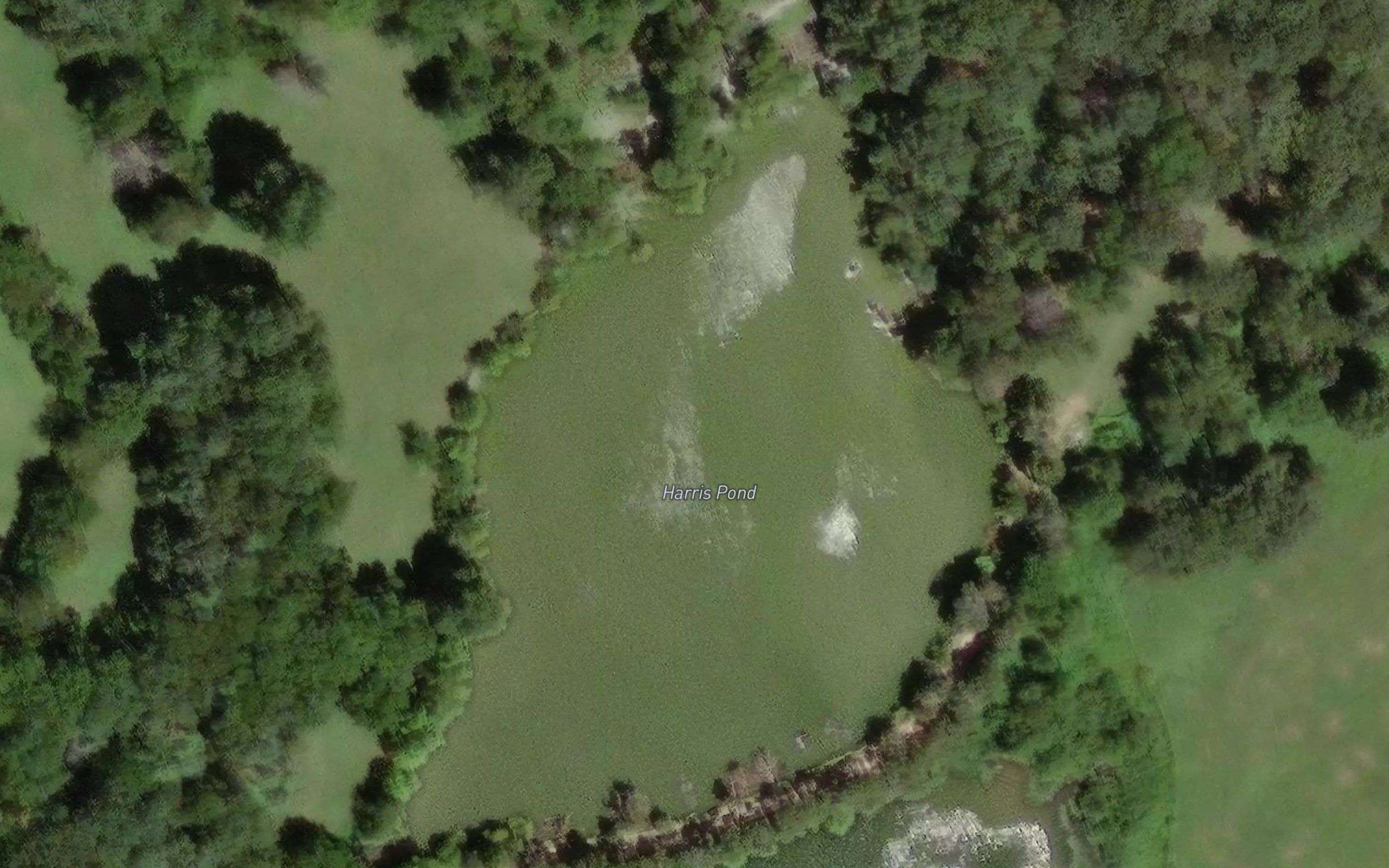 Harris Pond