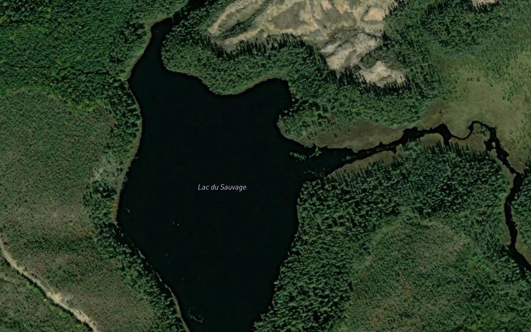 Satellite map of the Lac du Sauvage