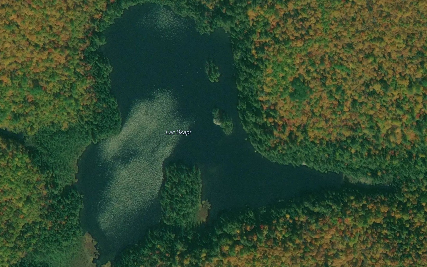 Satellite map of the Lac Okapi