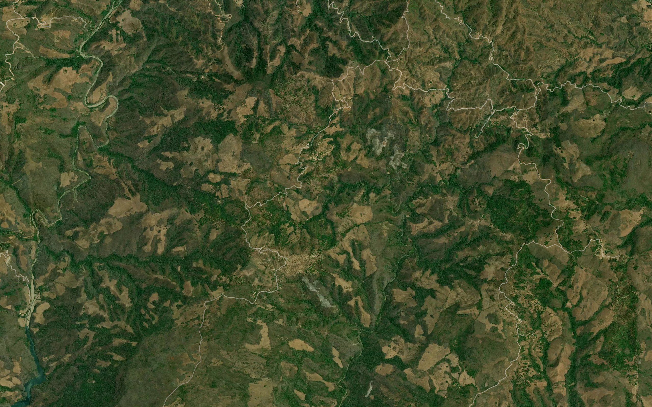 La Patacua