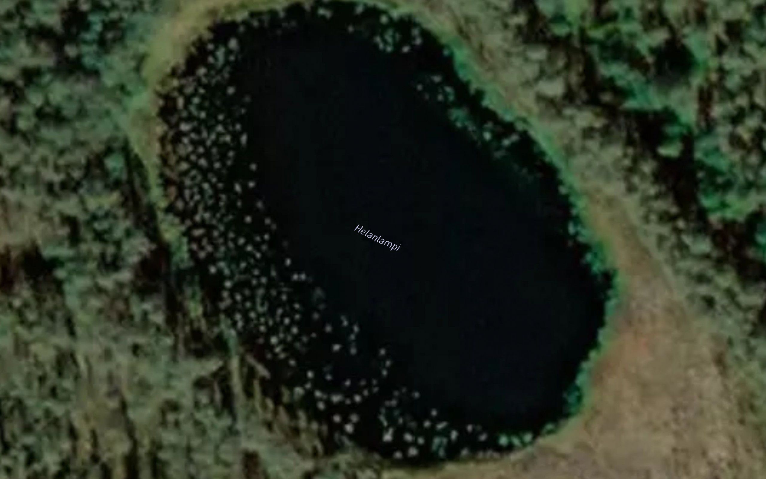 Helanlampi