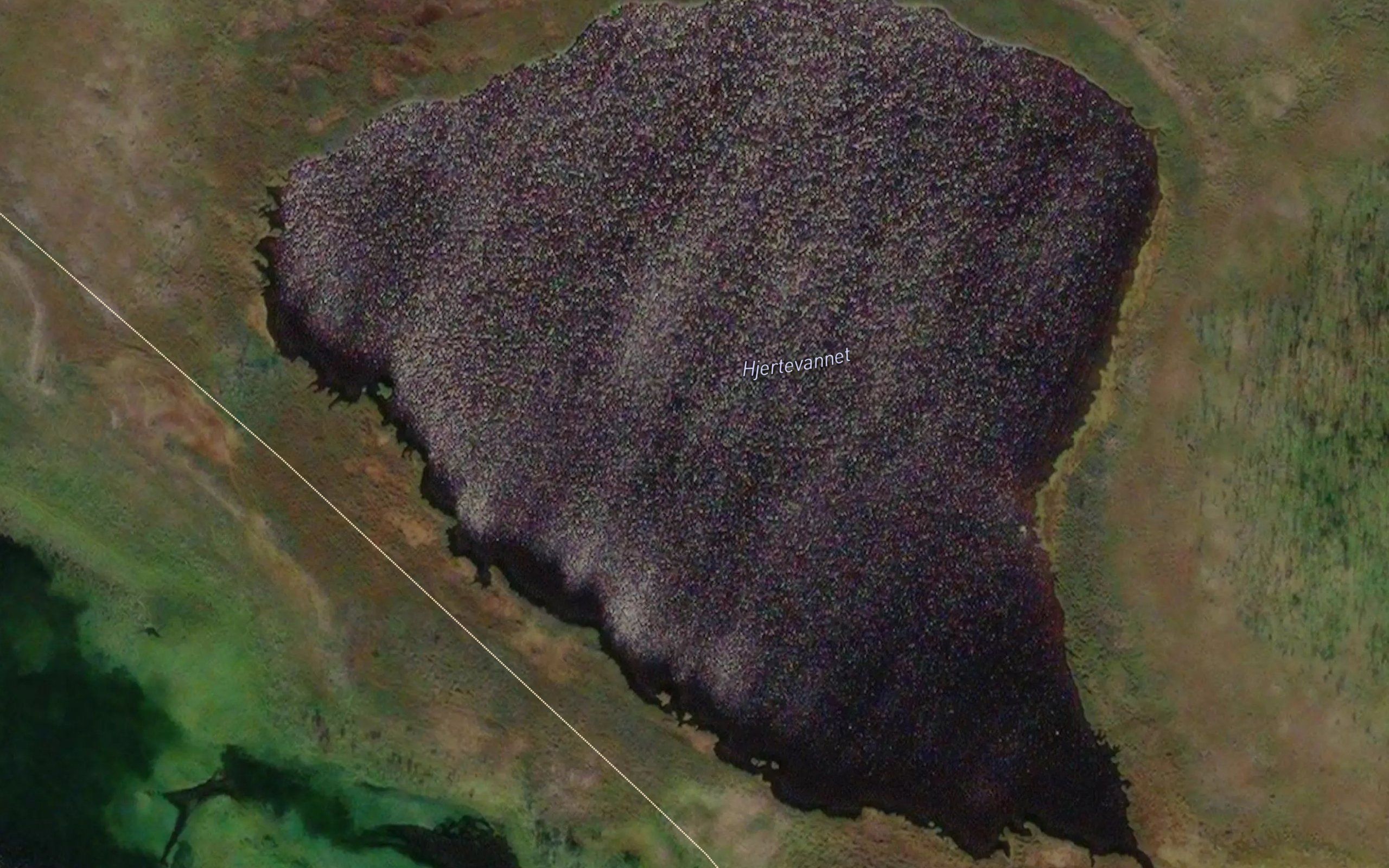 Hjertevannet