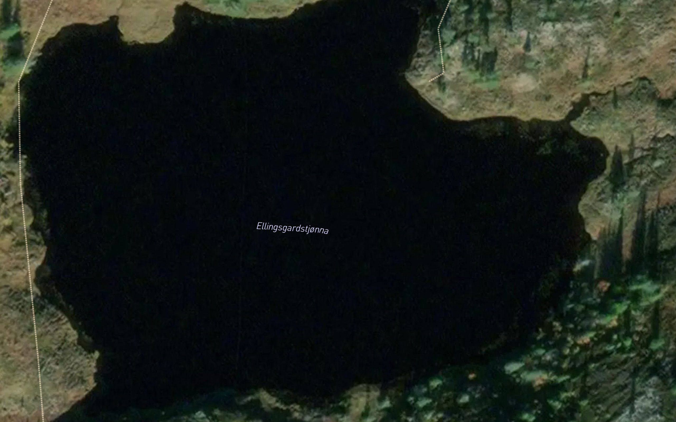 Ellingsgardstjorna