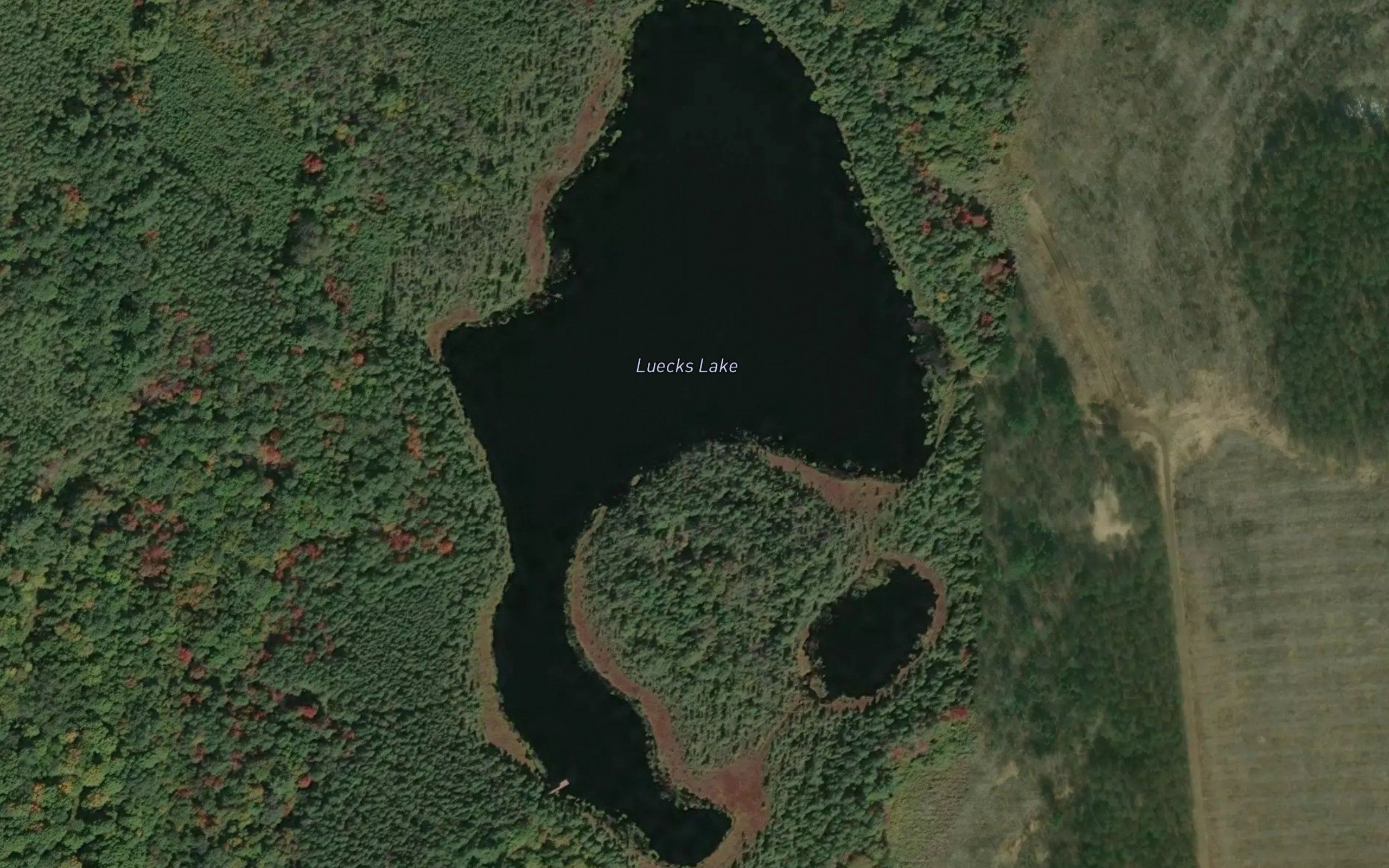 Luecks Lake