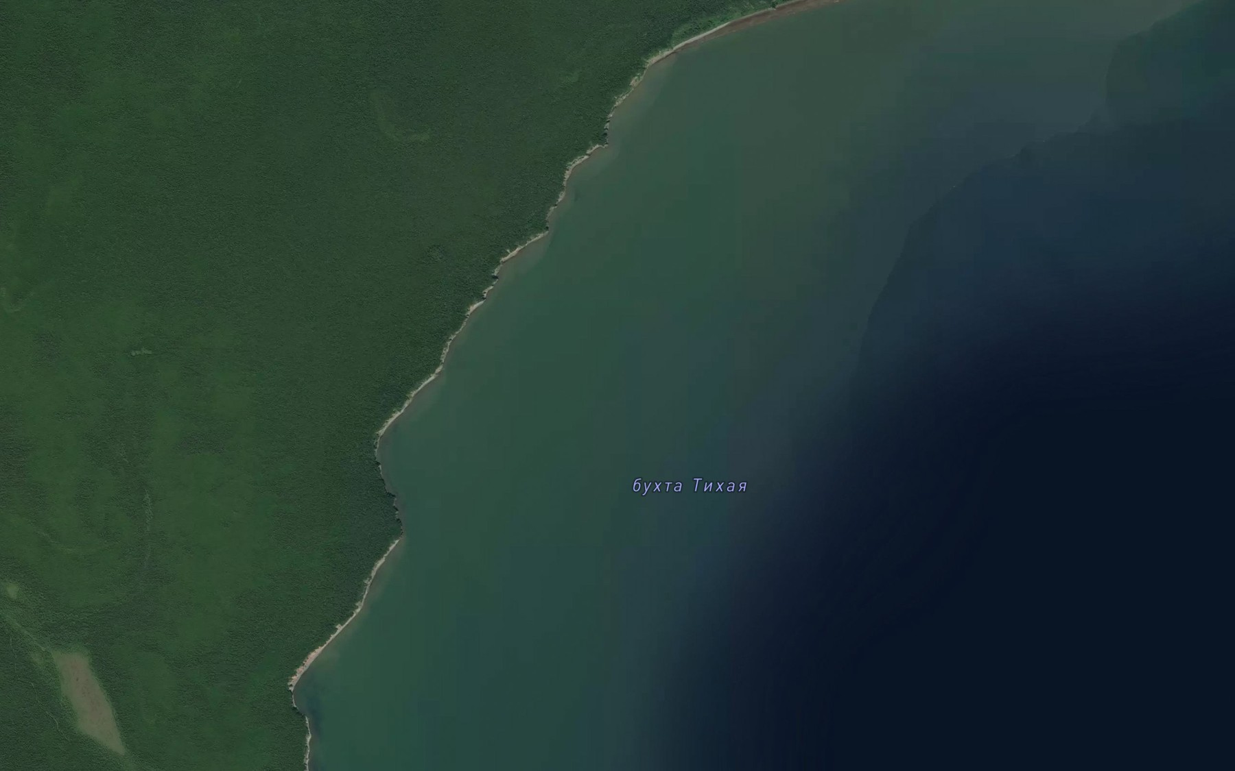 Satellite map of the Bukhta Tikhaya