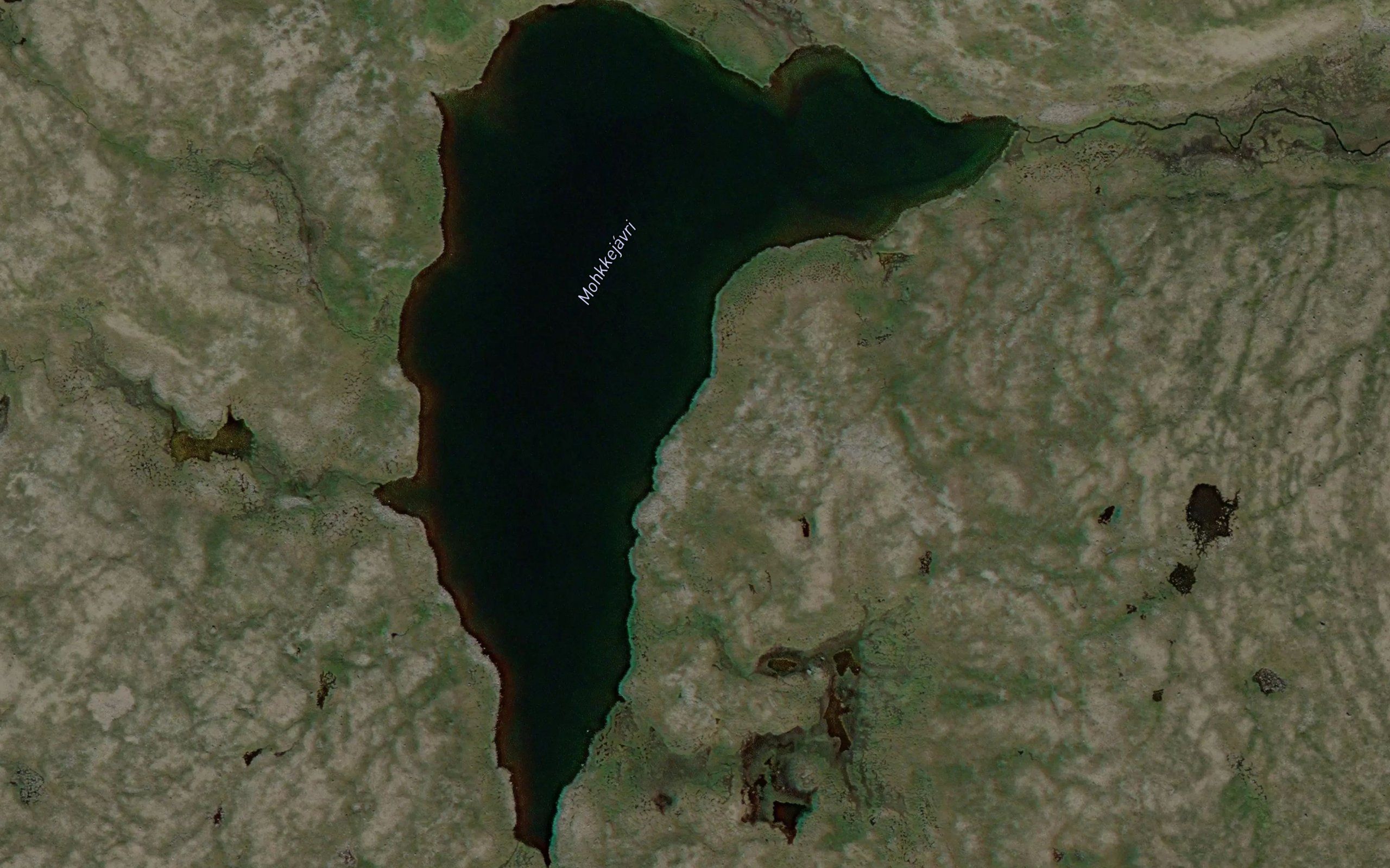 Mohkkejavri