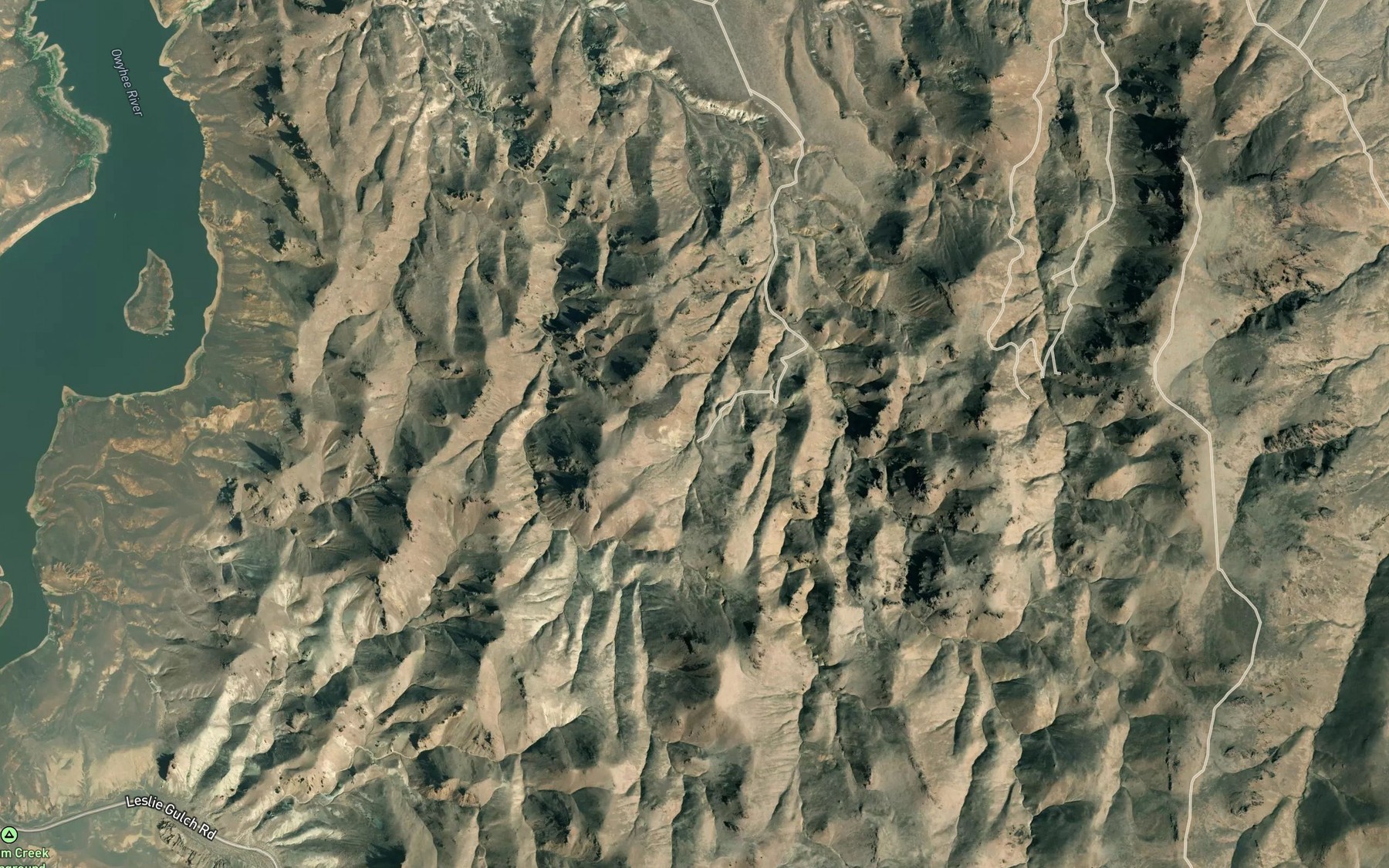 Satellite map of the Shadscale Spring
