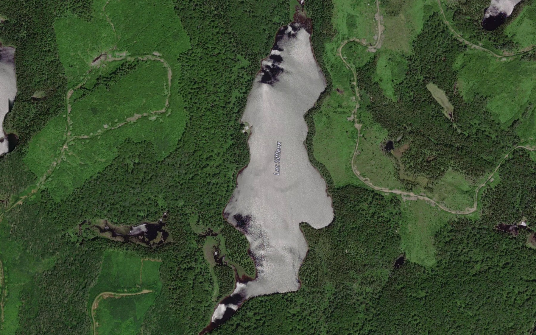 Satellite map of the Lac Siffleux