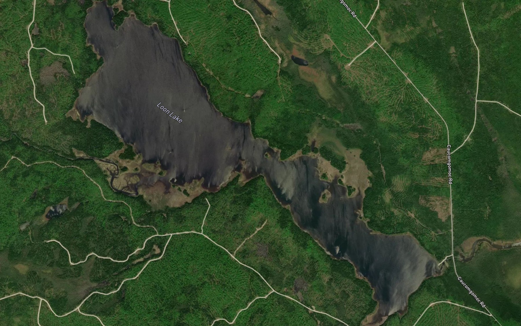 Satellite map of the Loon Lake