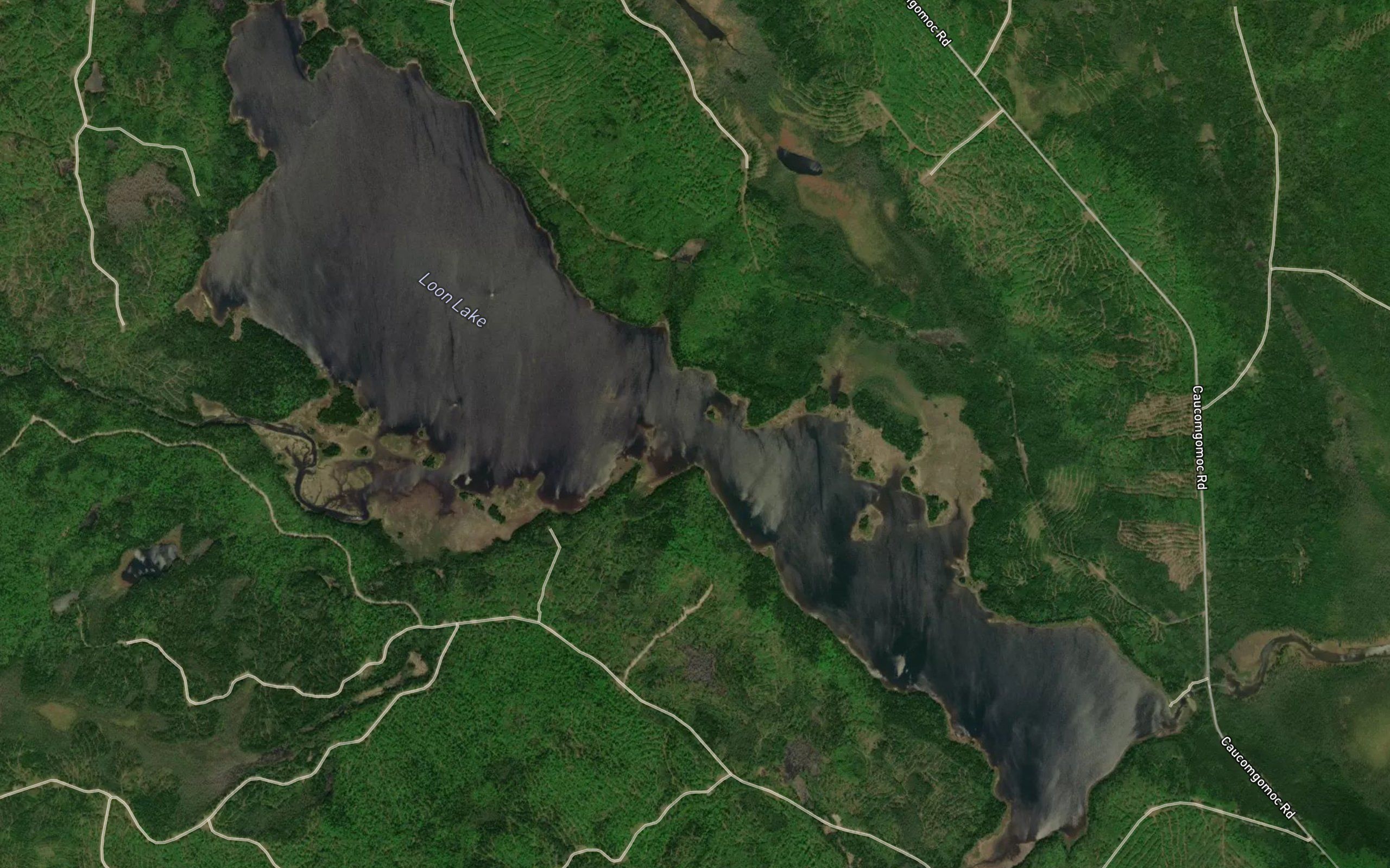 Loon Lake